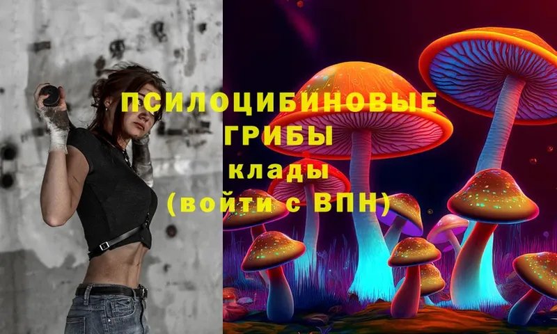 Галлюциногенные грибы Psilocybe  даркнет сайт  МЕГА   Новоалександровск 